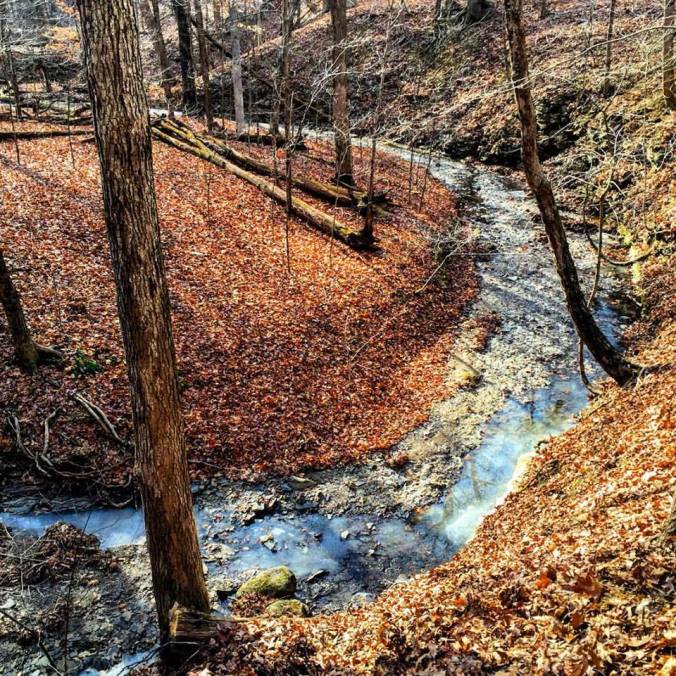 5227_10208361155852355_4058919415028496489_n