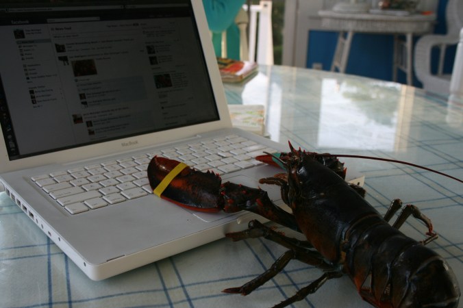 lobster-typing1