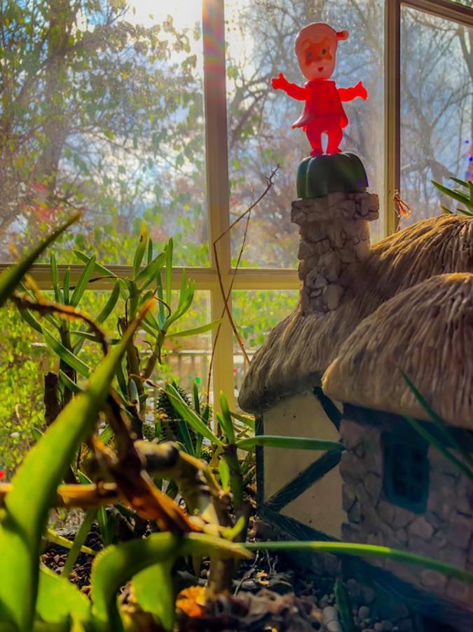 47464976_10217999187917133_8397167478978904064_n